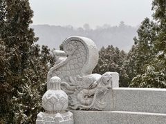 -八大处公园
