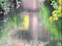 -小洲村