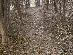 -白马涧龙池景区