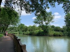 -西溪国家湿地公园