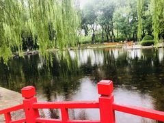 -玲珑塔公园