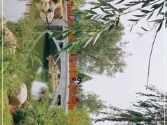 -羊亭河湿地公园