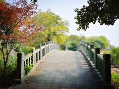 -上海市保健医疗中心(华东疗养院)