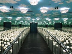 -爱来魔相4D艺术馆(济州中文馆)