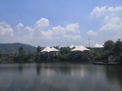 -帐篷客·溪龙茶谷度假酒店