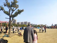 -菊园百果园