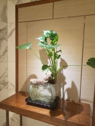 -北京嘉里大酒店·宴会厅婚宴·户外婚礼·生日宴