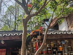 -青城甲(青城山店)