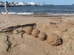 -海驴岛(荣成市)