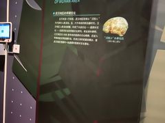 -盘龙城遗址博物院