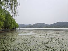 -鸣鹤古镇