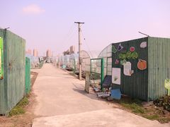-菊园百果园