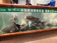 -好灶头妈妈菜·柴火灶台鱼·千岛湖土菜地标美食