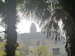 -铁山坪森林公园