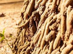 -维乐口腔医院(福清院)