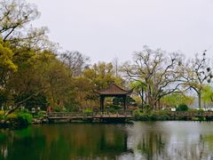 -浙江西子宾馆·牡丹厅