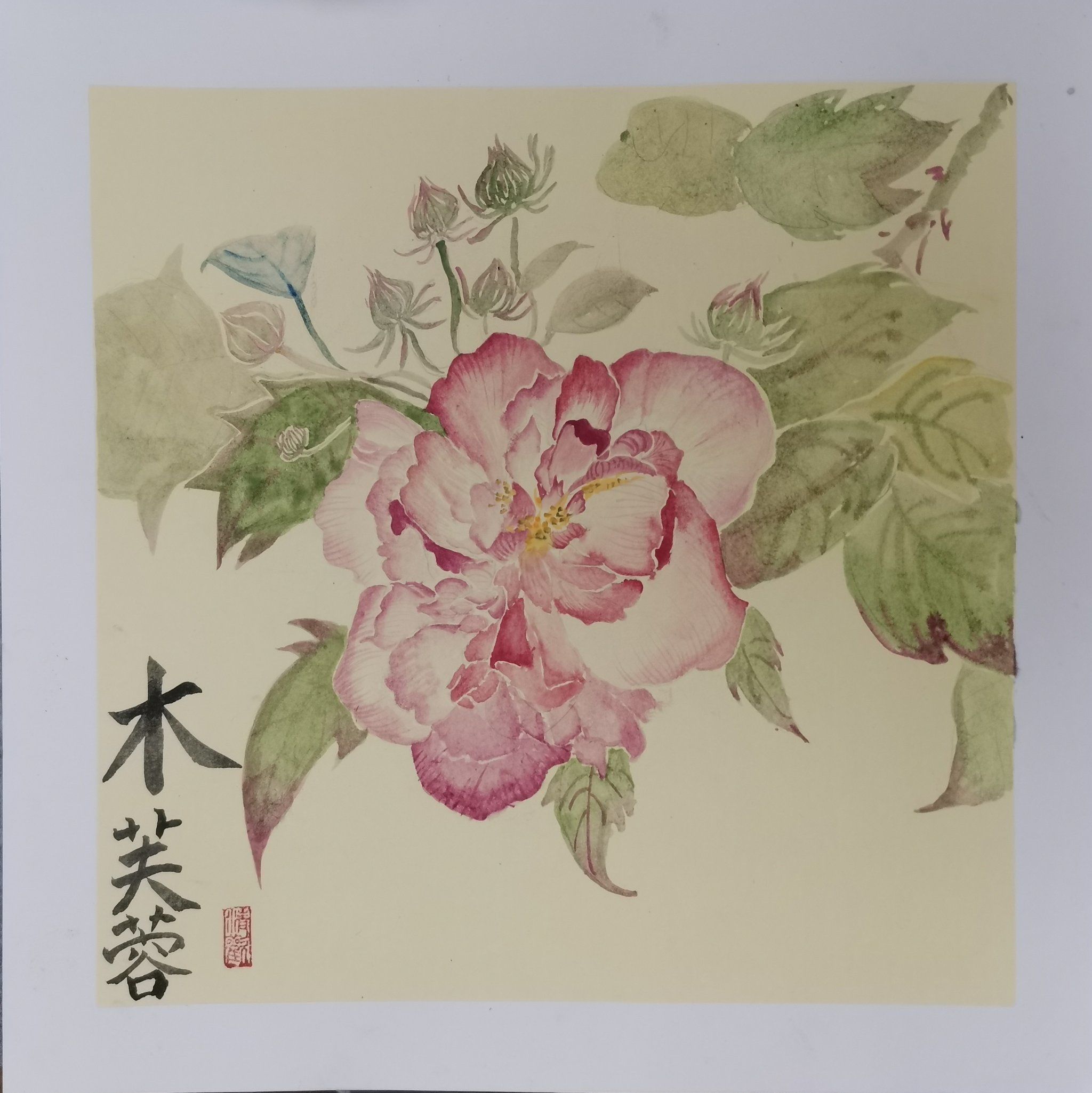 国画～没骨木芙蓉