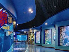 -海合安青岛极地海洋公园