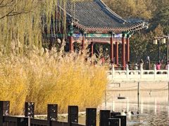 -西海子公园