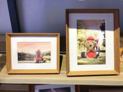 -热靴映画儿童摄影工作室(绍兴水街壹号文创园店)