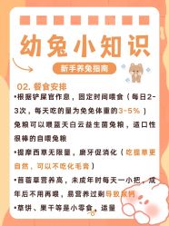 -神奇动物撸宠馆·羊驼·小浣熊·异宠(豫园店)