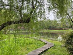 -西溪国家湿地公园