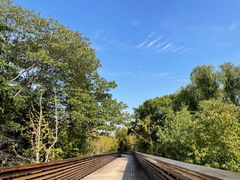 -昆山城市生态森林公园