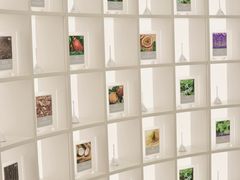 -名创优品(天河区正佳广场二店)