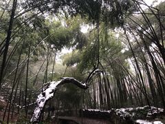 -会稽山峡洞漂流-上青古道