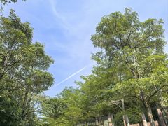 -广州都喜泰丽温泉度假酒店