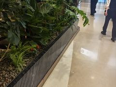 -THE WOODS 简餐 (国贸商城店)