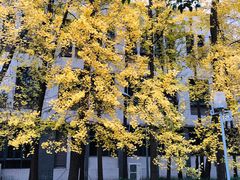 -四川大学(望江校区)