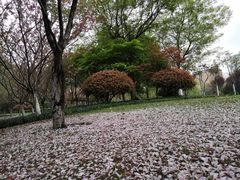 -杭州城北体育公园