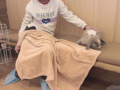-猫猫幼稚园·撸猫·桌游·电玩