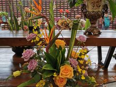 -荷兰花海