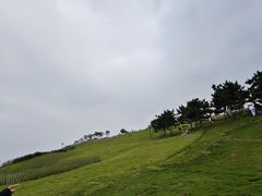 -小麦岛公园