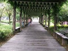 -白马涧龙池景区