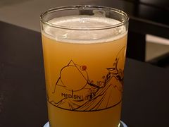 -MEDISN·药厂