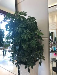 -Hello Lady发型设计