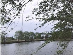 -白渔泡湿地公园