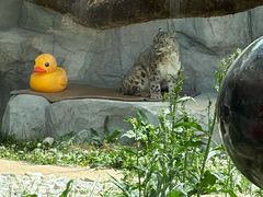 -青藏高原野生动物园