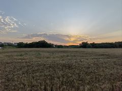 -汉长安城未央宫国家考古遗址公园