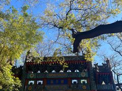 -北京国子监胡同