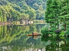 -重庆彩云湖湿地公园
