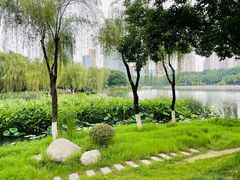 -后襄河公园