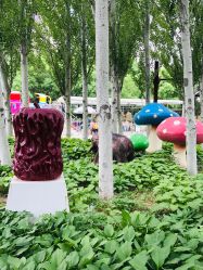 -大望京儿童游乐场