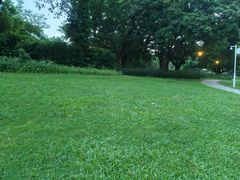 -东莞植物园
