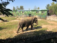 -西安秦岭野生动物园