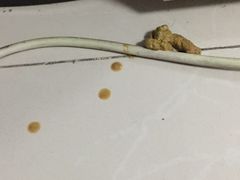 -北京观赏动物医院·24小时大型综合·猫专科·异宠专科
