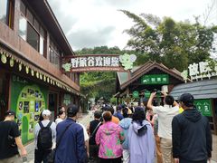 -野象谷景区